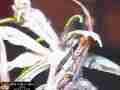 Chalcedon Checkerspot (Euphydryas chalcedona) tiny 1st instar larvae